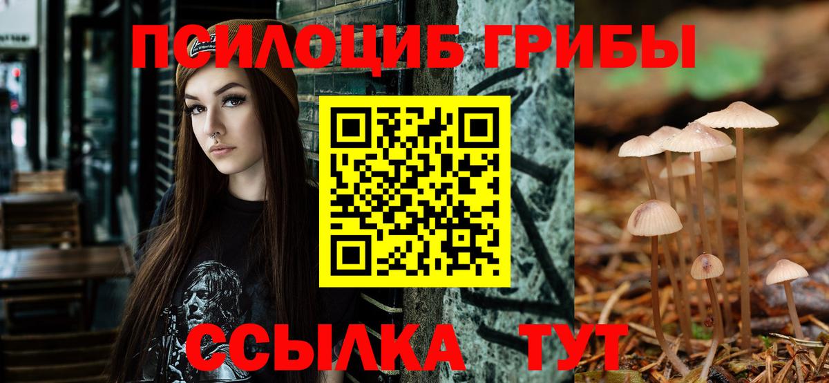 что такое наркотик  Вход с VPN  Хасавюрт  Псилоцибиновые грибы MAGIC MUSHROOMS 