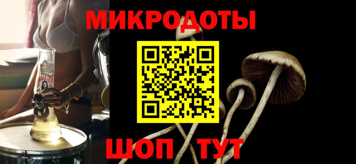 Галлюциногенные грибы Psilocybe Хасавюрт